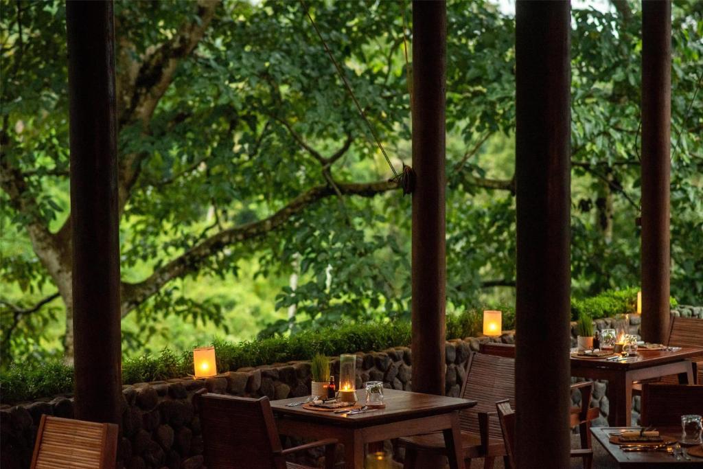 Zahrada ubytování Alila Ubud