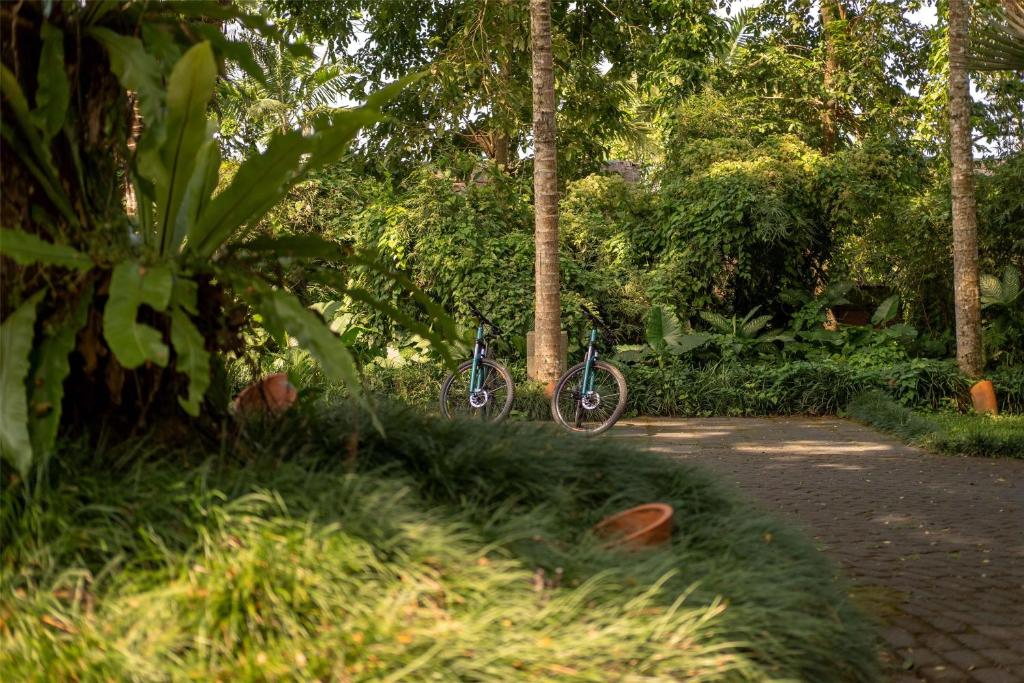 Zahrada ubytování Alila Ubud