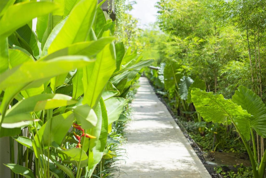 Zahrada ubytování Andaz Bali, By Hyatt
