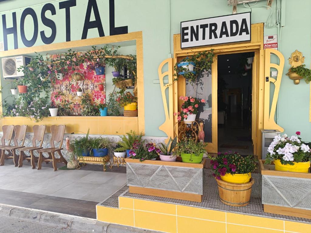 a store front with flowers and plants in pots at Hostal Fuente del Pino in Jumilla