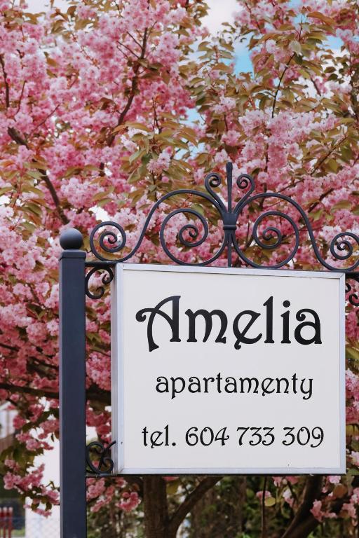 Certifikát, ocenenie alebo iný dokument vystavený v ubytovaní Amelia Apartamenty - sala zabaw, 2 sypialnie, garaż podziemny