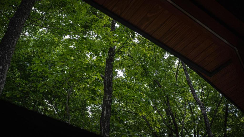 Fotografie z fotogalerie ubytování Nold forest house 那須高原の森の中で心地よく暮らす宿 v destinaci Nasu
