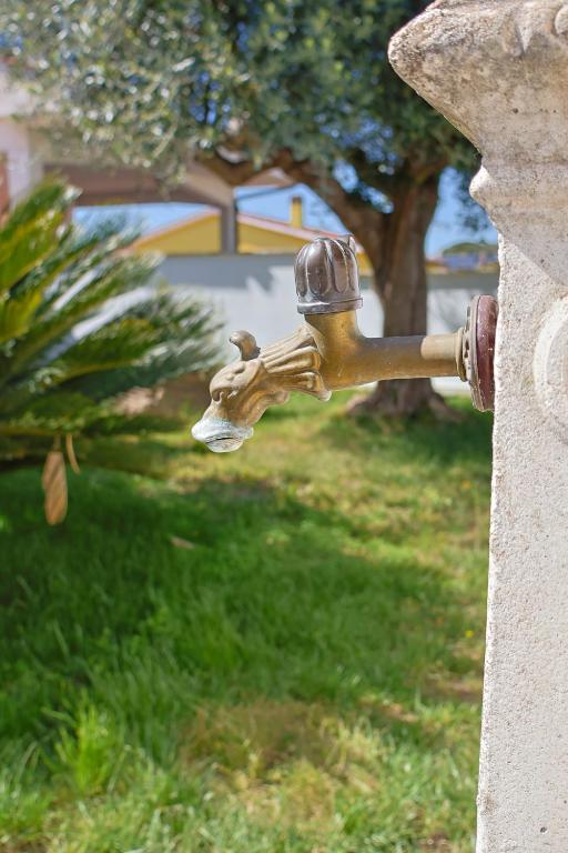 Zdjęcie z galerii obiektu Villa Lella w mieście Ardea