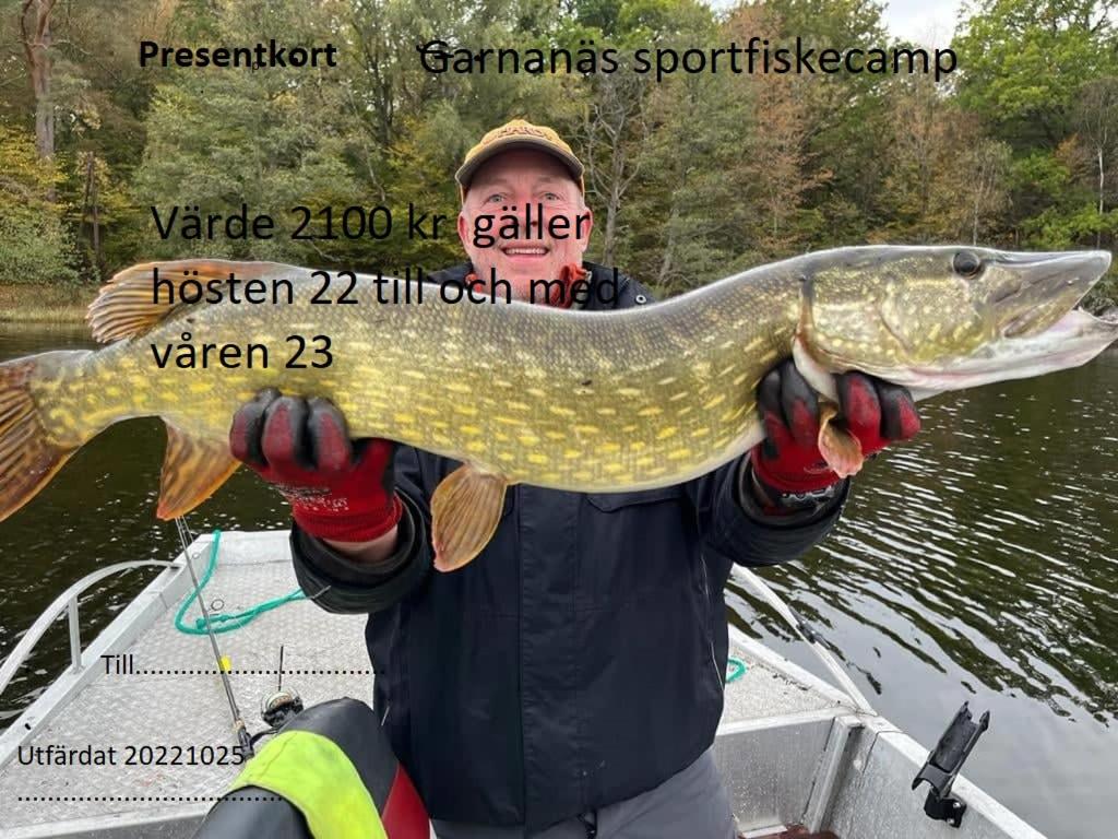 Příroda nedaleko prázdninového domu