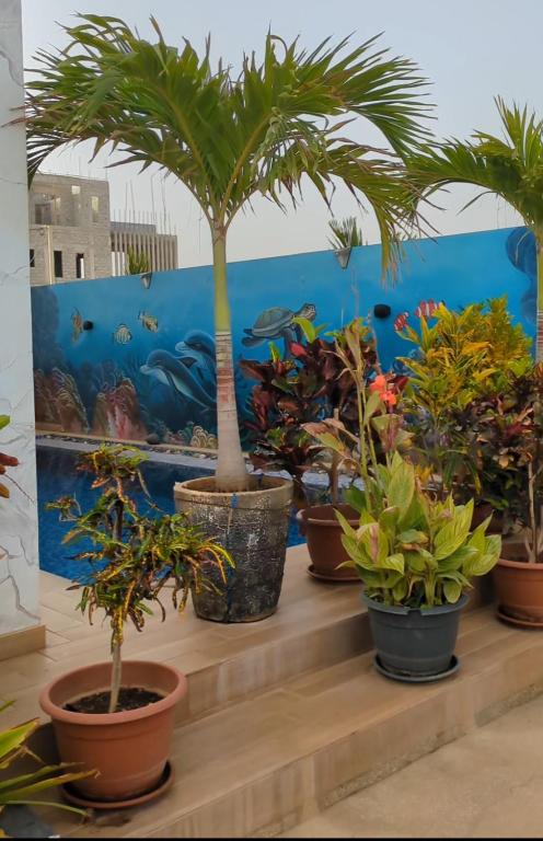 a group of potted plants sitting on a shelf at Villa Hawa, Décor unique & Piscine in Somone