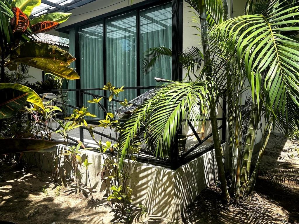 Κήπος έξω από το Baan Sam3 studio in Thong Sala