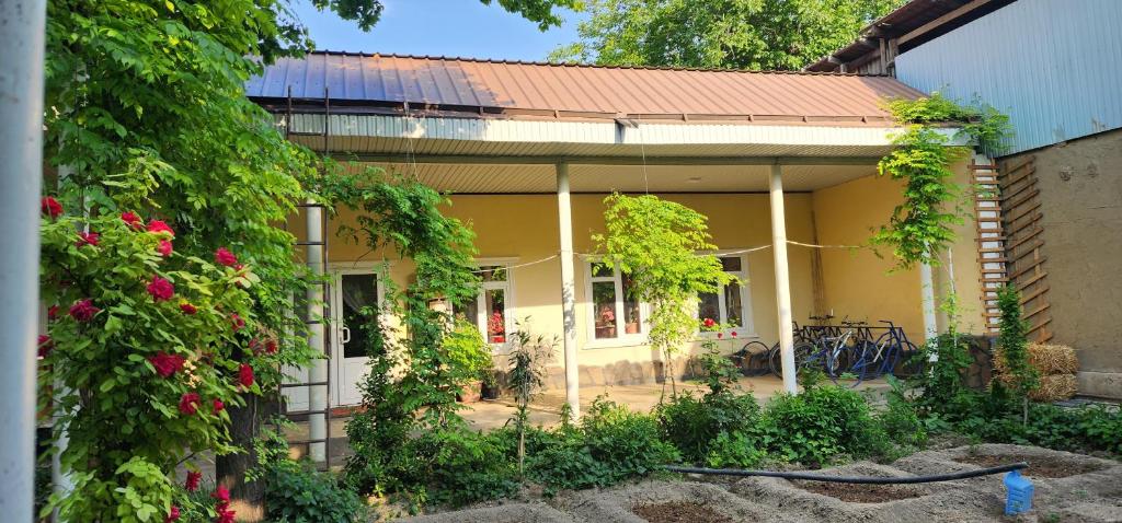 Zahrada ubytování Sim-Sim Hostel
