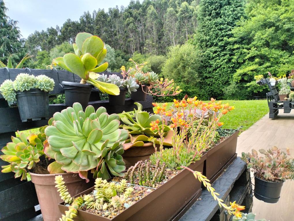 Zahrada ubytování agroturismo Araize