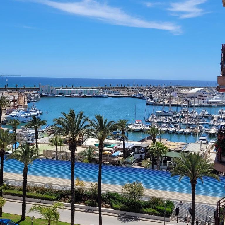 a view of a harbor with palm trees and boats at Penthouse Sabina in Torrevieja