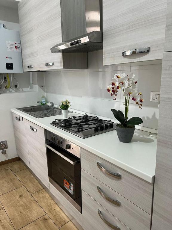 Kuchyň nebo kuchyňský kout v ubytování Parisa Home