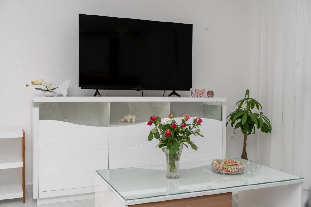 TV a/nebo společenská místnost v ubytování Apartmani Marivo