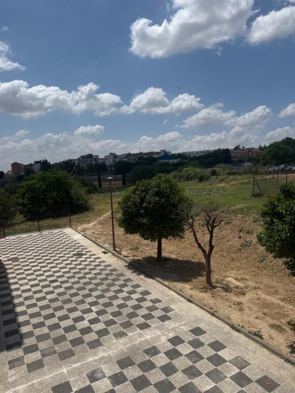 a checkered sidewalk with two trees and a field at Habitación individual con baño privado en piso de lujo in San Juan de Aznalfarache