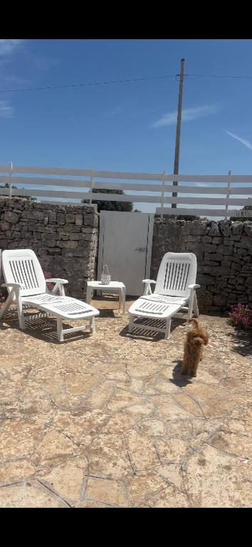 Fotografie z fotogalerie ubytování Trulli Mamima v destinaci Martina Franca