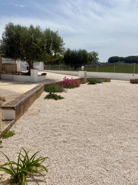 Zahrada ubytování Trulli Mamima