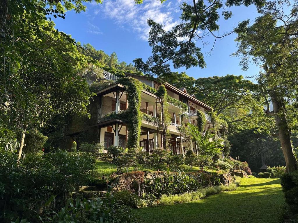 dom z bluszczem rosnącym na jego boku w obiekcie Spirit of Ceylon Retreat w mieście Lemastota