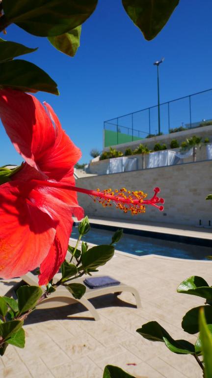 Bazén v ubytování Amour Relax Hotel nebo v jeho okolí