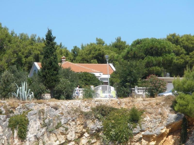 una casa en la cima de una colina con árboles en Villa Pagar - with jacuzzi - Renovated in 2022 en Povljana