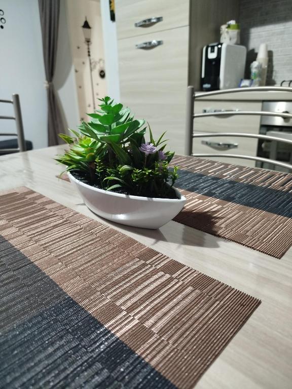 Kuchyň nebo kuchyňský kout v ubytování CAMARDA HOME