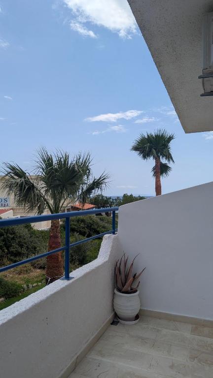 a balcony with a view of palm trees and the ocean at Coral in Frangokastello