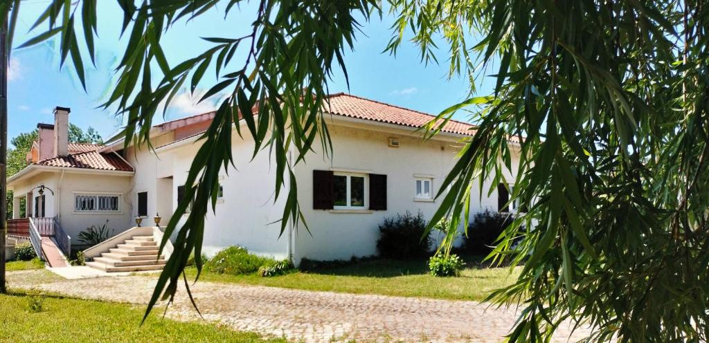 a white house with a tree in front of it at Quinta dos Choupos in Coimbra