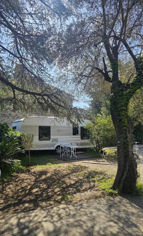 une caravane blanche garée à côté d'un arbre avec une table de pique-nique dans l'établissement Caravane en hébergement fixe, à Mandelieu-la-Napoule