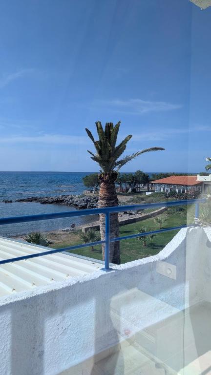 a palm tree sitting on top of a building overlooking the ocean at Coral in Frangokastello