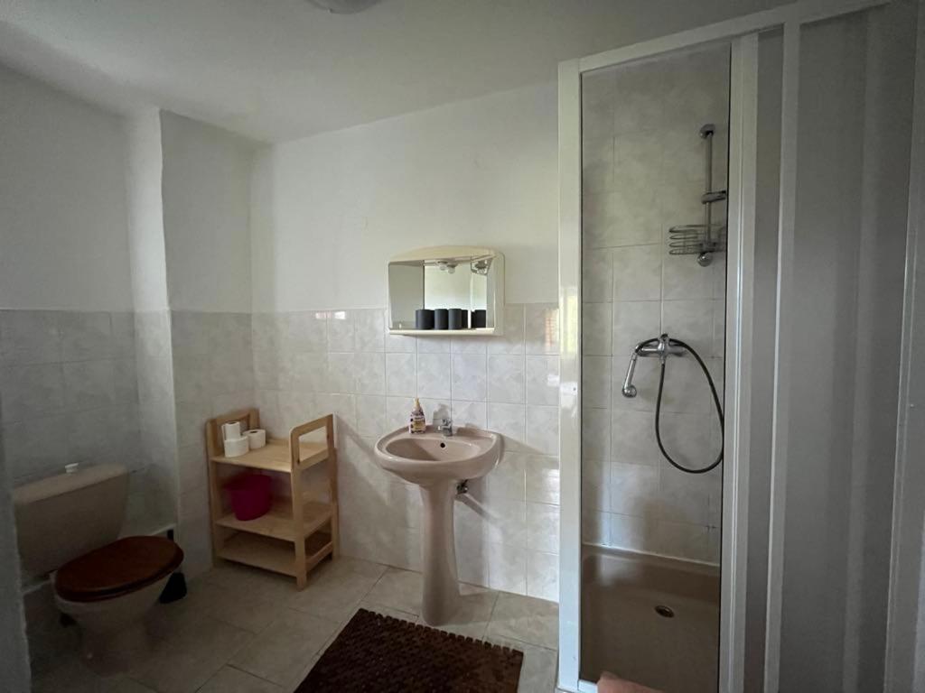 Koupelna v ubytování Apartmány Forest