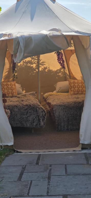Fotografie z fotogalerie ubytování glamping in Dromineer v destinaci Dromineer