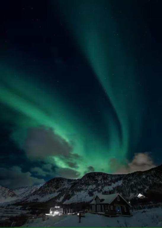 an aurora in the sky above a house in the snow at Explorers Cabin Lofoten in Offersøya
