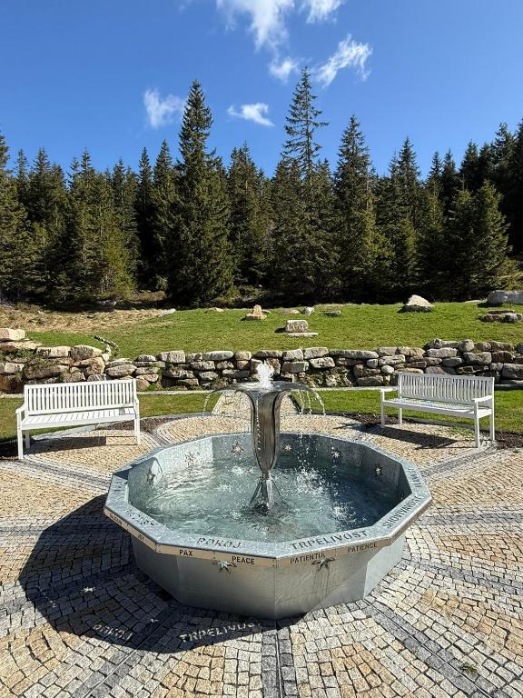 Erlebachova Bouda, hotel - Resort Svatý František - Resim 4