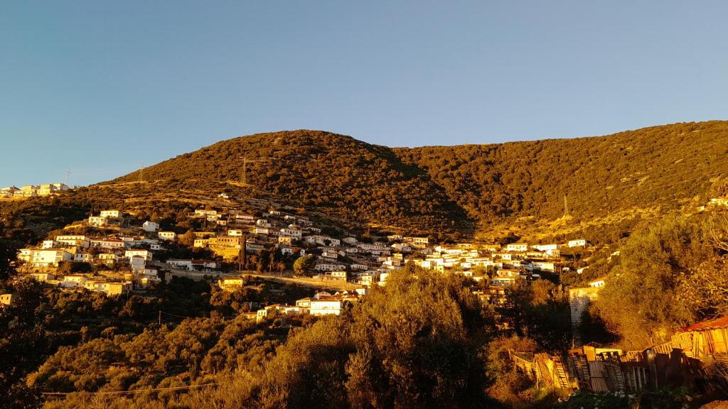 Shkolla Hostel & Camping
