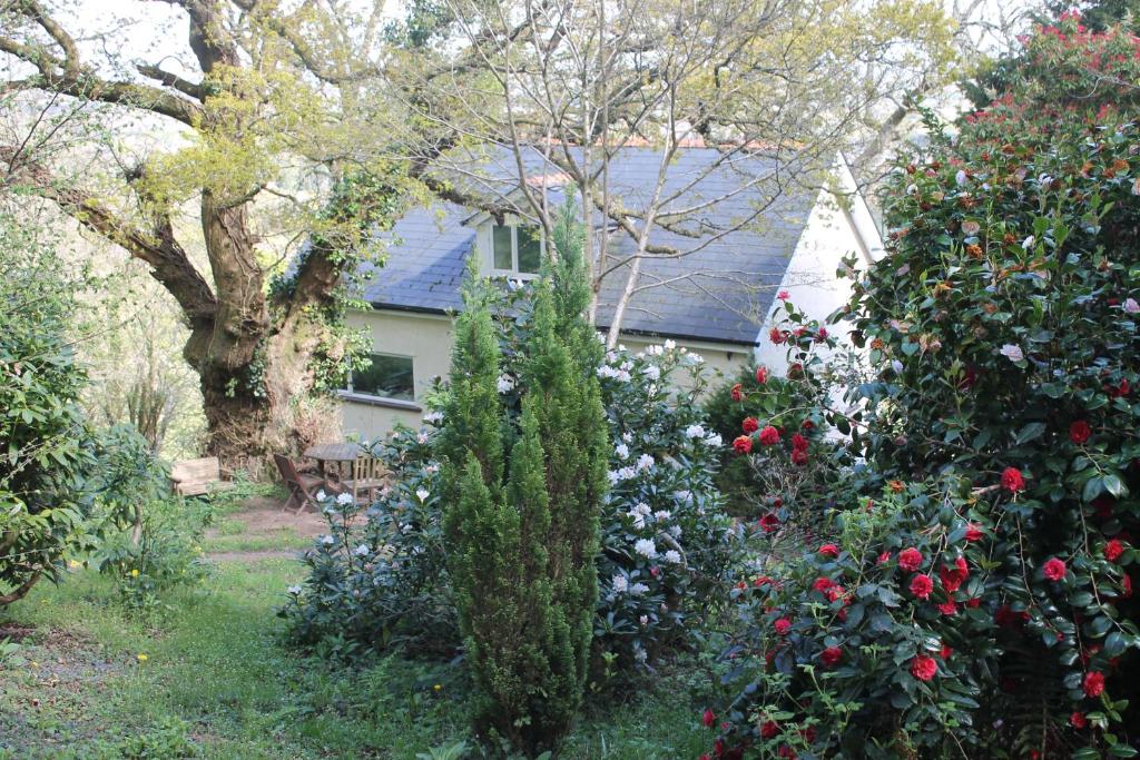 una casa con un jardín de flores delante de ella en The Foretop, en Cardiff