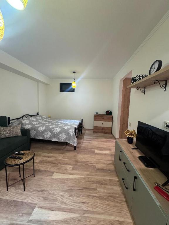 امکانات Apartment Gorgasali - تصویر ۴