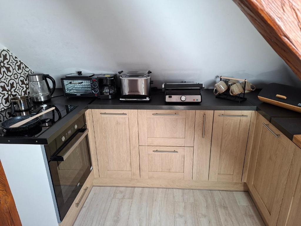 Kuchyňa alebo kuchynka v ubytovaní Villa Vip Pokoje Apartament