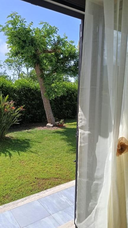 an open door to a yard with a tree at La Flacca Rooms in Sperlonga