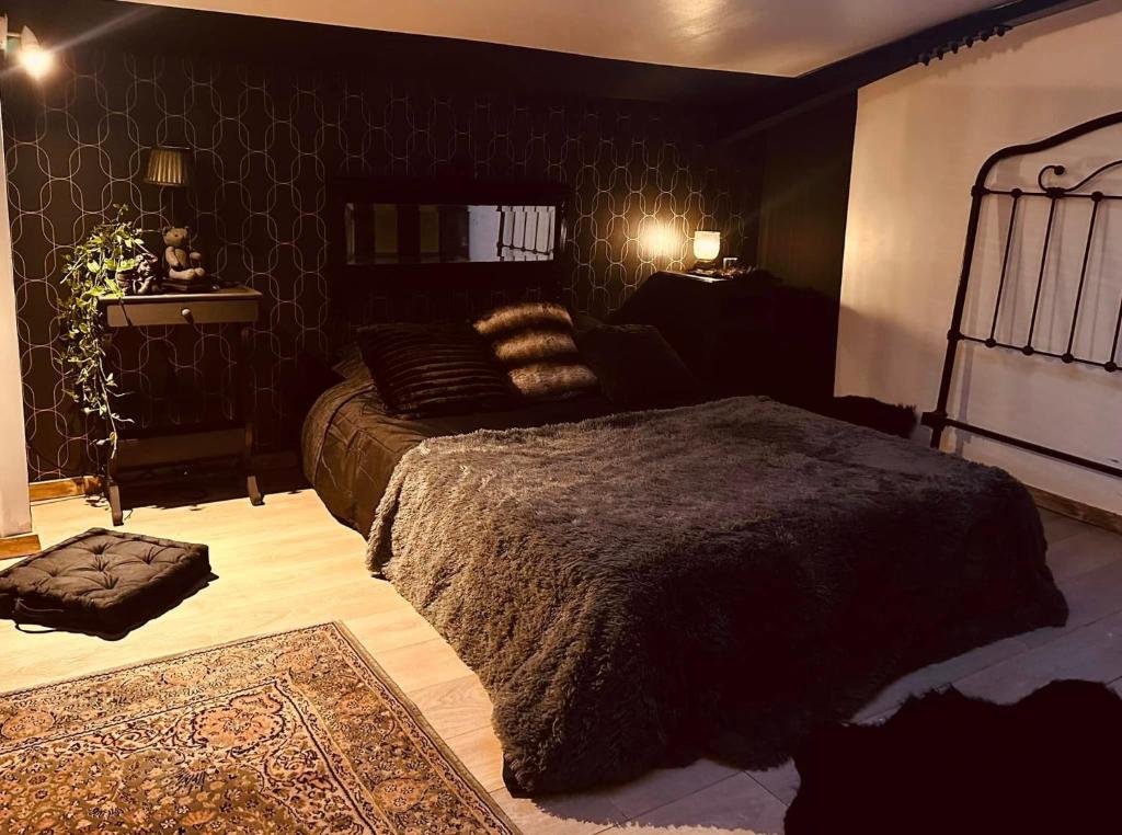 une chambre avec un grand lit dans une pièce dans l'établissement Le Loft Troyes, à Troyes