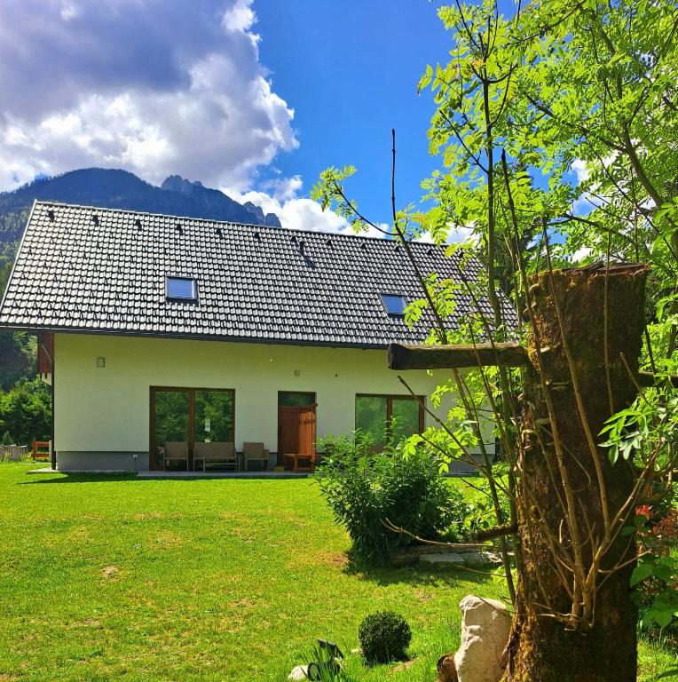 Zahrada ubytování Apartments Zlati Rog