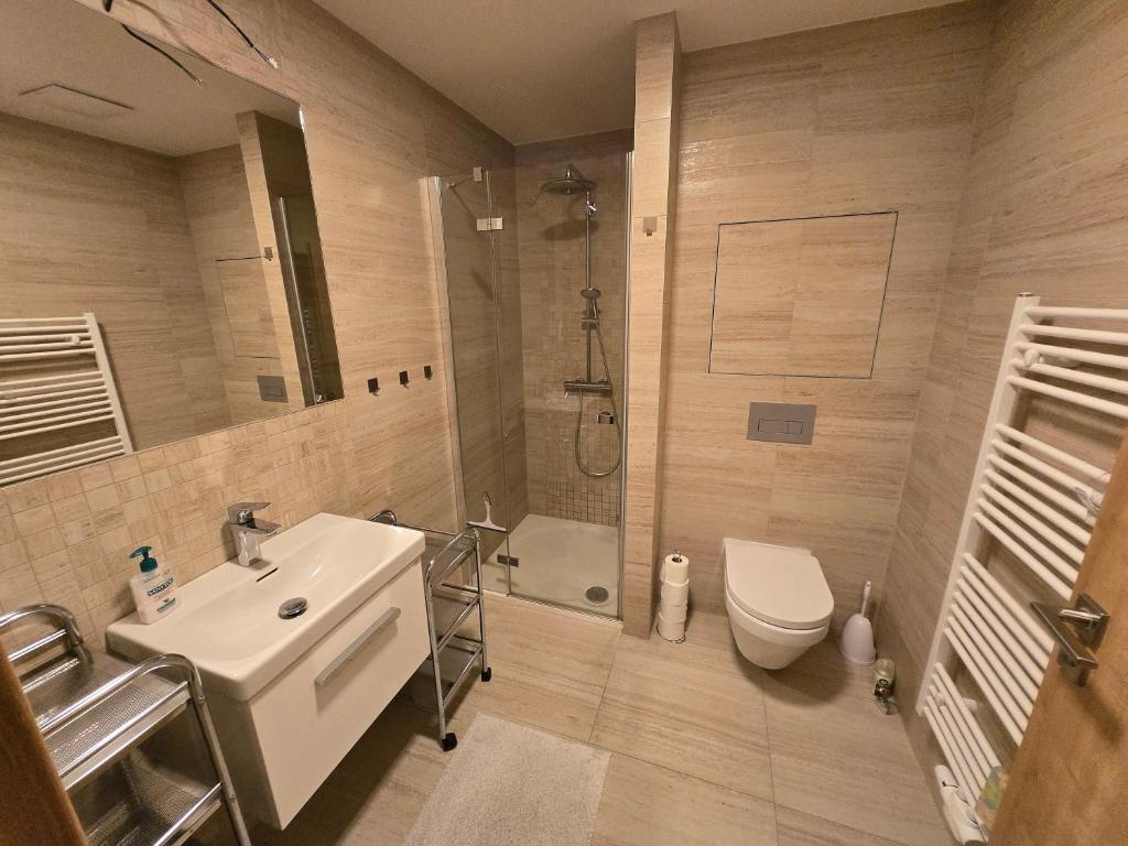 Koupelna v ubytování Apartmán Maršovák Horní Maršov
