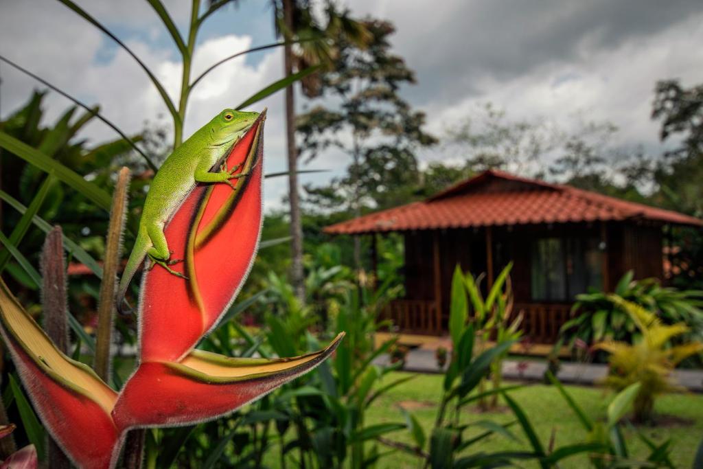 Zahrada ubytování Hotel Rancho Cerro Azul