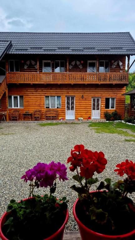 Casa Pintea de Sub Coastă - Housity
