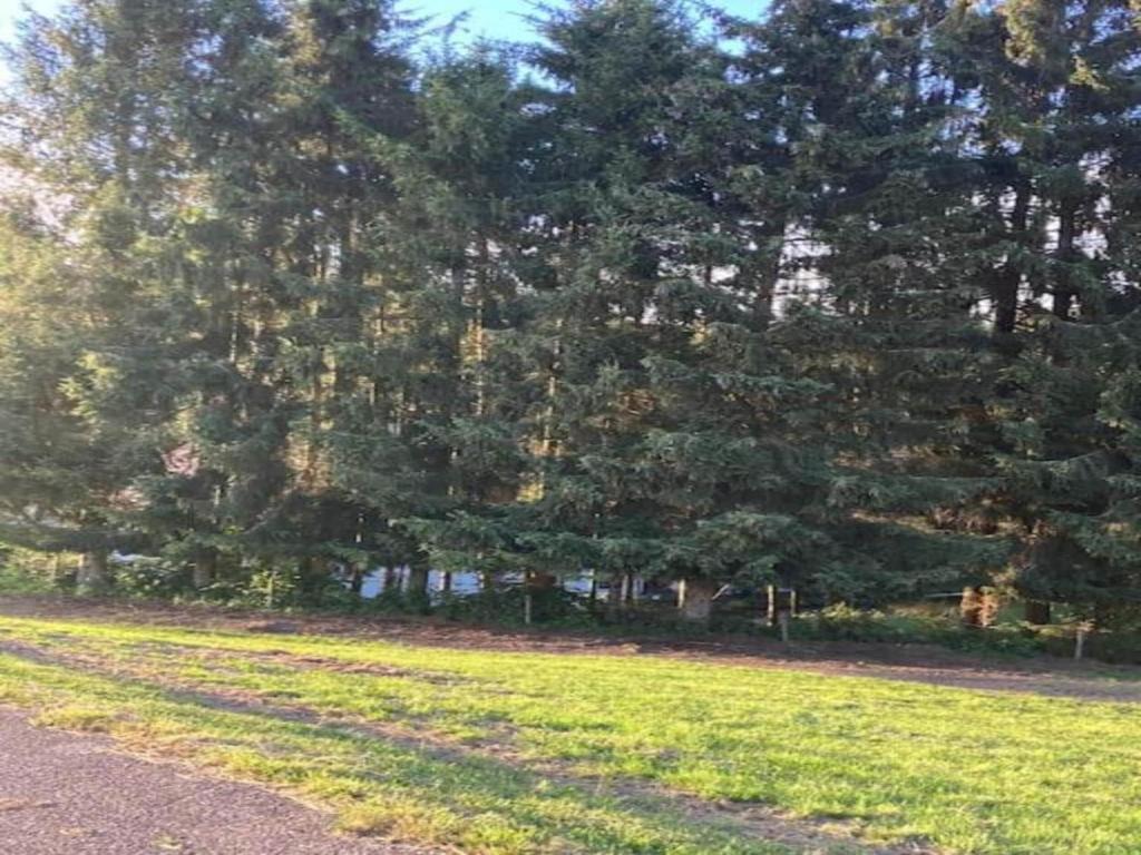 Zahrada ubytování Apartment in Görwihl near Black Forest Waterfalls
