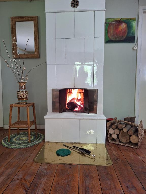Fotografie z fotogalerie ubytování Villa Apple Garden v destinaci Tingsryd
