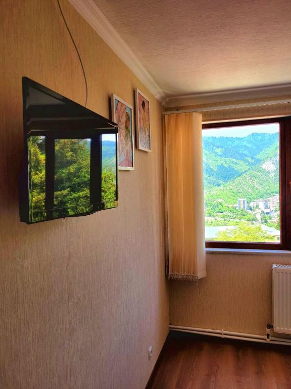Vista generica sulle montagne o vista sulle montagne dall'interno dell'hotel