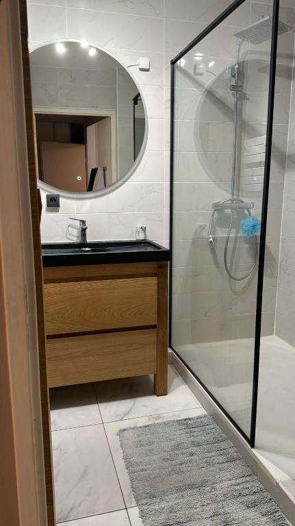 une salle de bain avec un lavabo et un miroir dans l'établissement Appartement Cosy, à Fresnes
