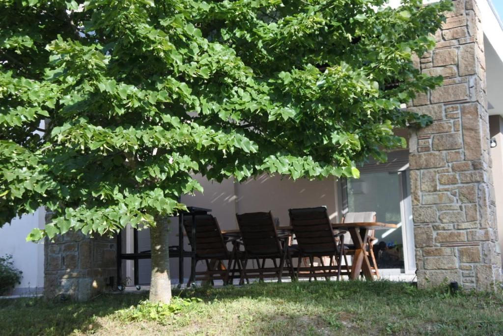 Zahrada ubytování Villa Aggelos