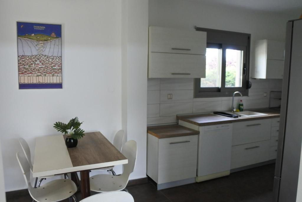 Kuchyň nebo kuchyňský kout v ubytování Villa Aggelos