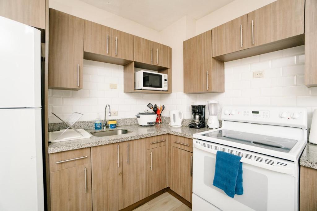 Kuchyň nebo kuchyňský kout v ubytování Apartamento Ganesha Liberia