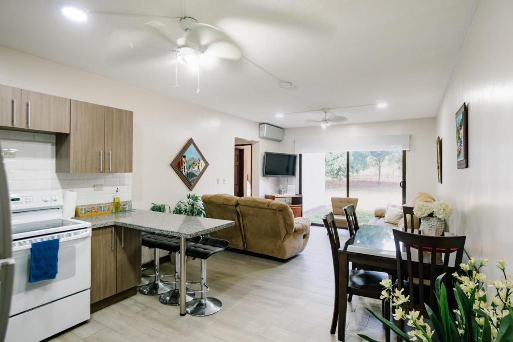 Kuchyň nebo kuchyňský kout v ubytování Apartamento Ganesha Liberia