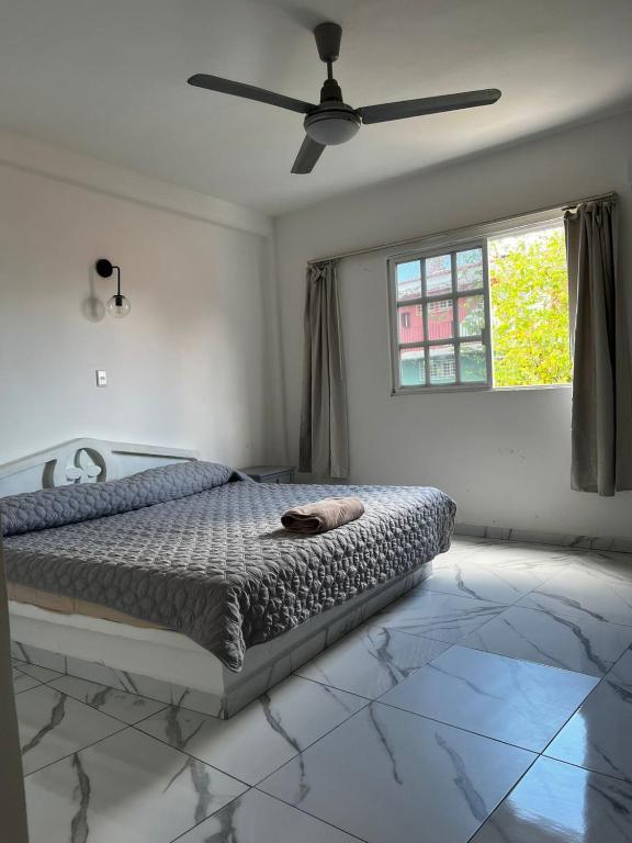 a bedroom with a bed and a ceiling fan at Hotel Cancún Rosa in Cancún