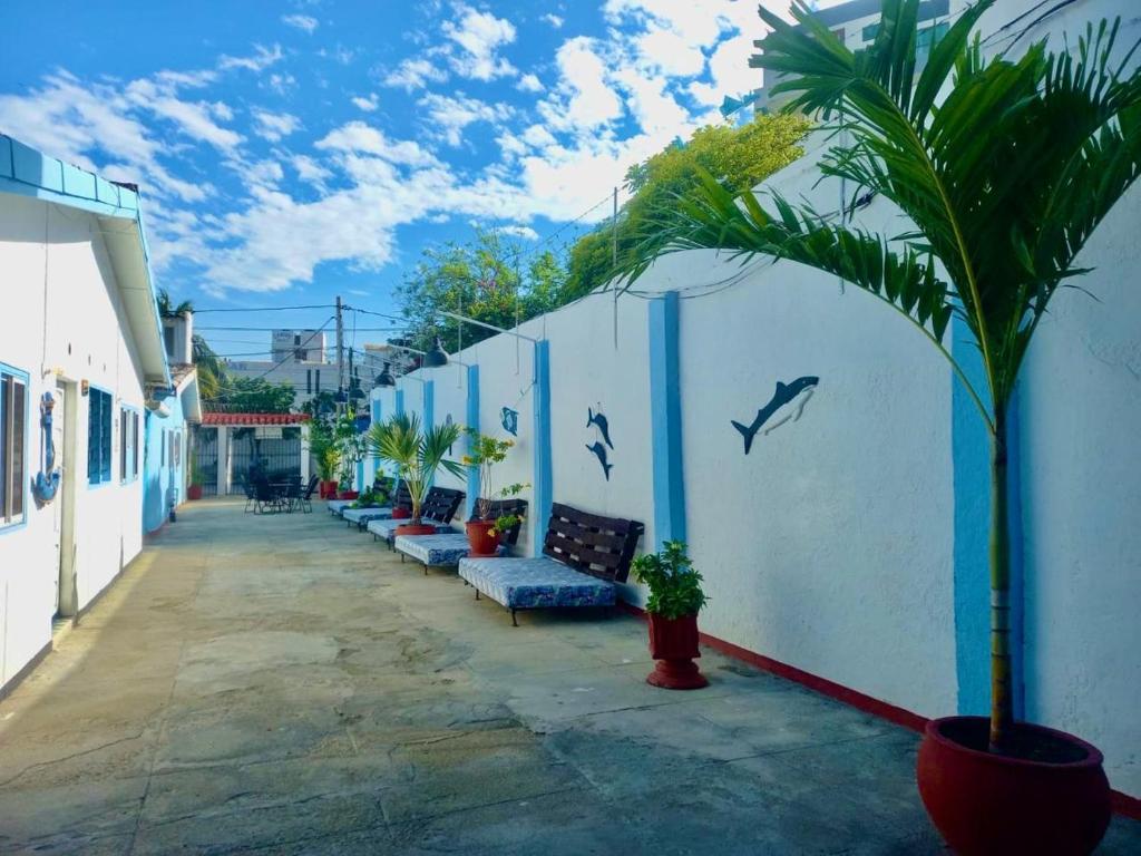 uma fileira de bancos azuis contra uma parede branca com uma palmeira em Hotel mantarraya em Rodadero